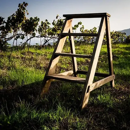 Appartement Maranuela