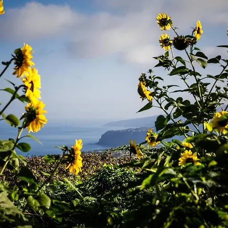 Maranuela * La Perdoma