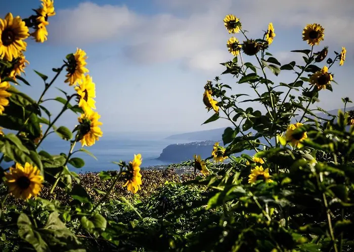 Maranuela * La Perdoma